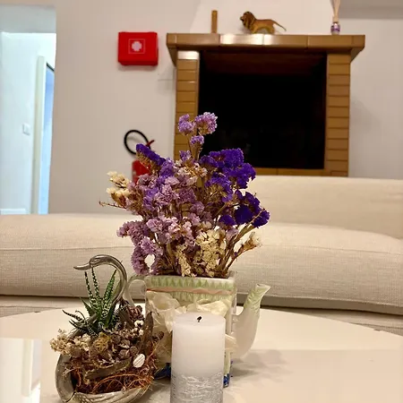 Apartmán Casa In Centro Con Giardino Imola
